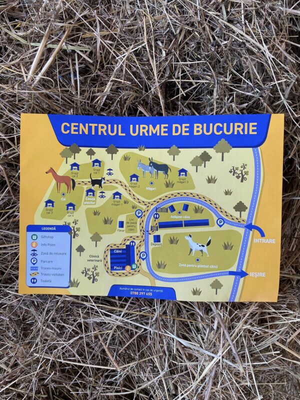 Urme de Bucurie